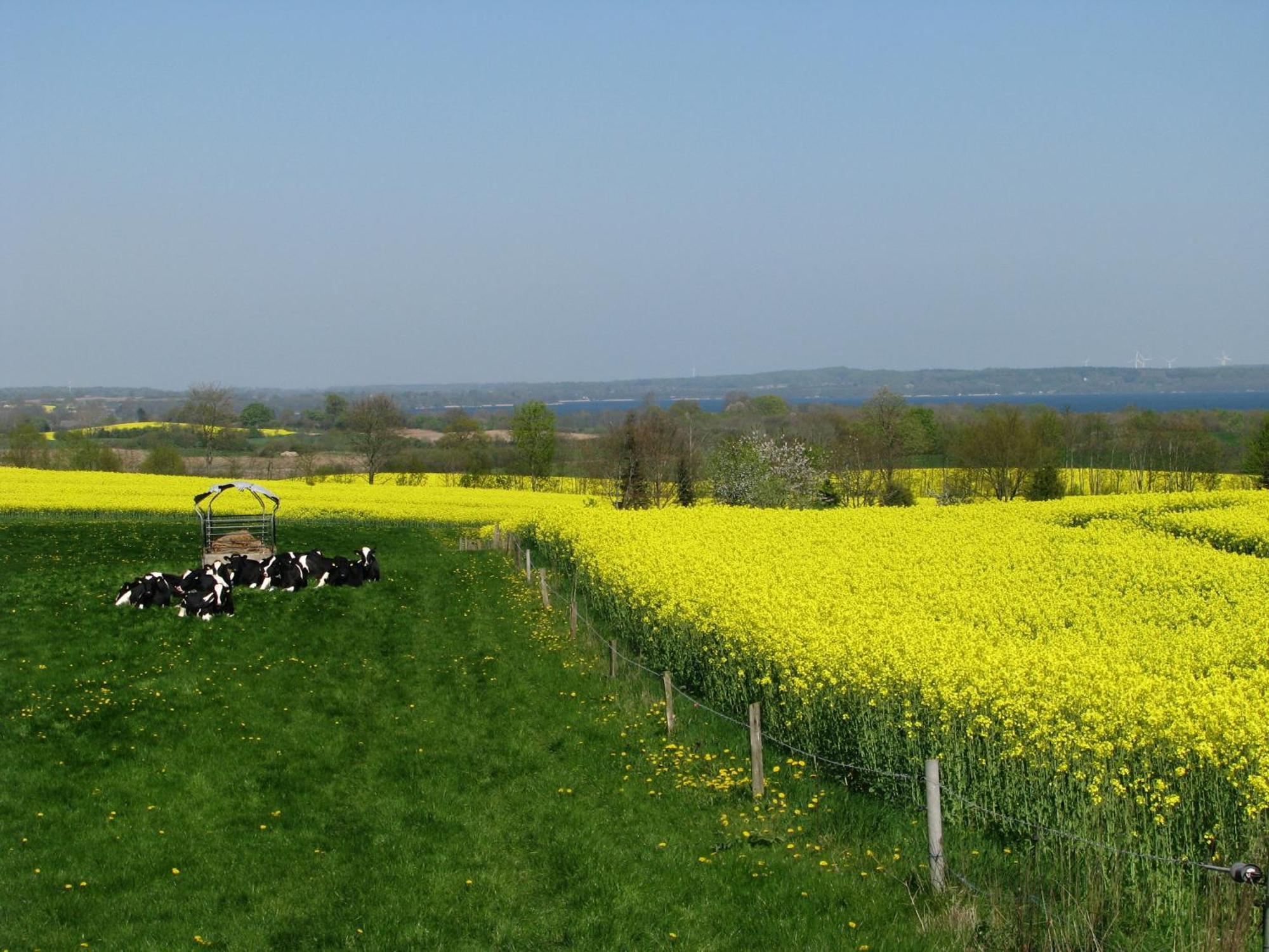 Frietied Am Wittensee Bunsdorf Eksteriør billede